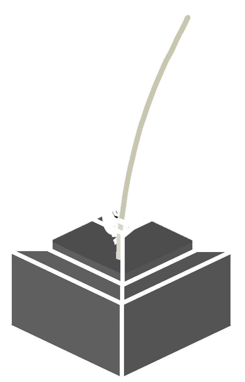 Barrel Buck/sketch-1630678577913.png