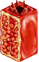 Barrel Cyber/pomegranet-1.png